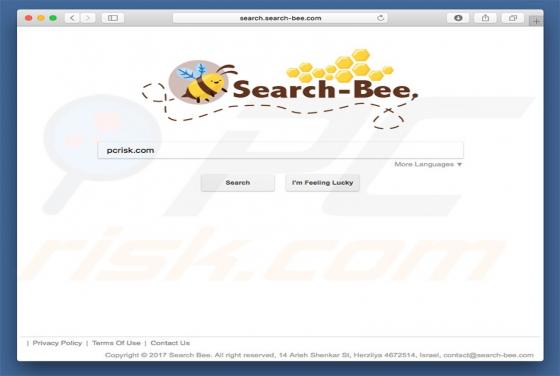 Search.search-bee.com Weiterleitung (Mac)