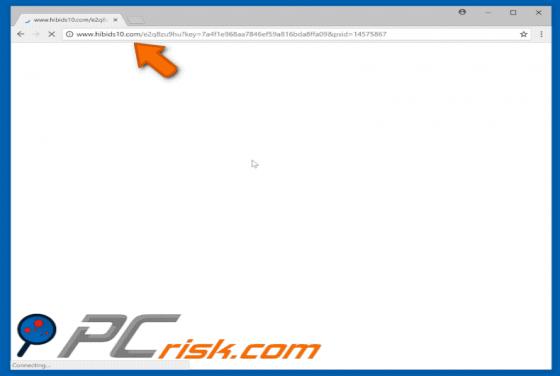 Hibids10.com POP-UP Weiterleitung