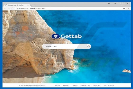Search323892.xyz Weiterleitung