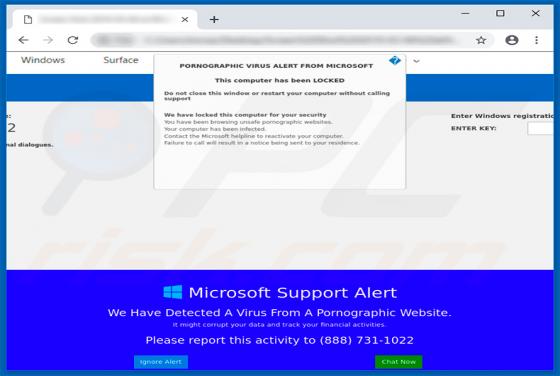 PORNOGRAPHIC VIRUS ALERT FROM MICROSOFT POP-UP Betrug