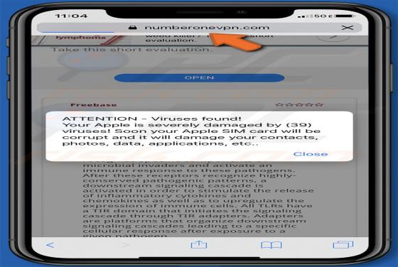 Numberonevpn.com POP-UP Betrug (Mac)