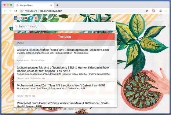 Genieonews.com Weiterleitung (Mac)