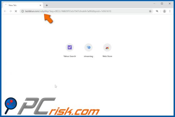 Ladsblue.com Werbung