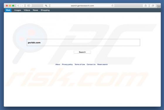 Search.genieosearch.com Weiterleitung (Mac)