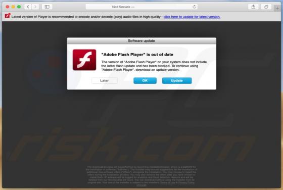 "Adobe Flash Player" Is Out Of Date POP-UP Betrug (Mac)