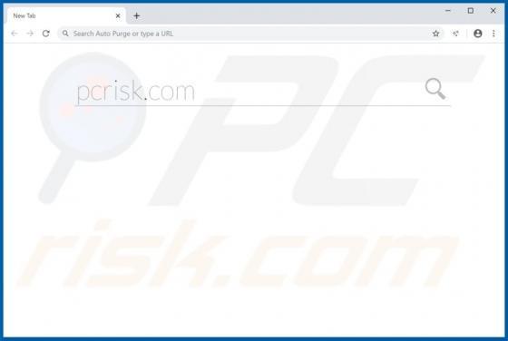 Auto Purge Browserentführer