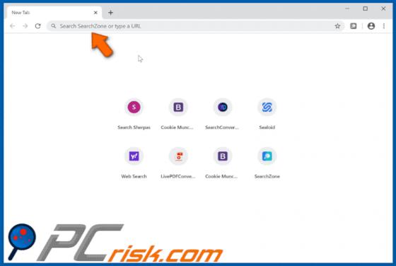 SearchZone Browserentführer